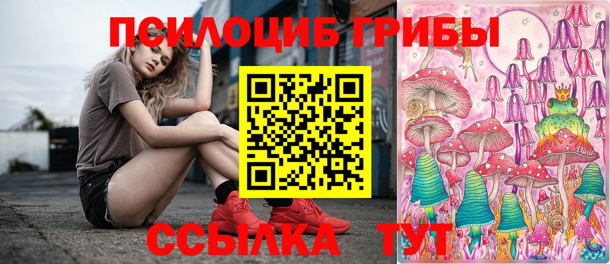 Псилоцибиновые грибы MAGIC MUSHROOMS Шадринск