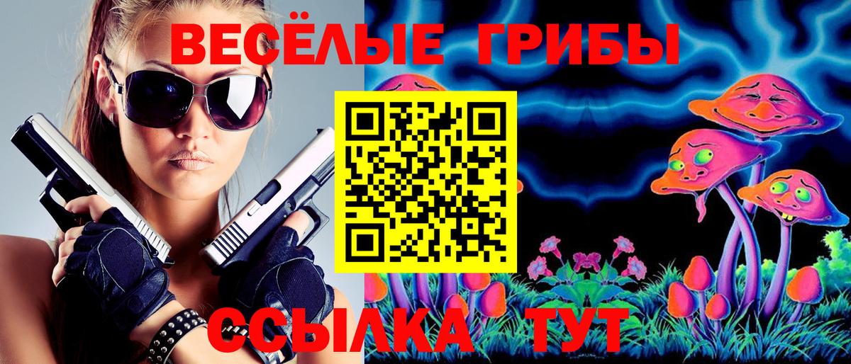 наркошоп  Галлюциногенные грибы Psilocybine cubensis  Вход с VPN  Шадринск 